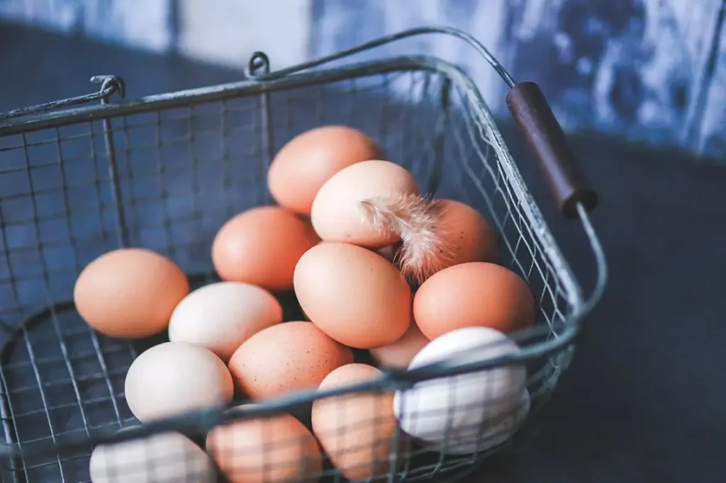 Ferme ska oeufs l min
