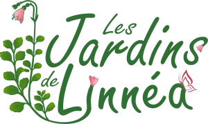 Les jardins de linnéa png without background 300x179 min