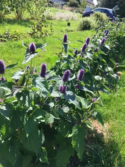 Image5 min